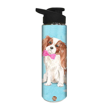 Designer Sipper Bottle for Kids -  Smarty Dog Nutcase