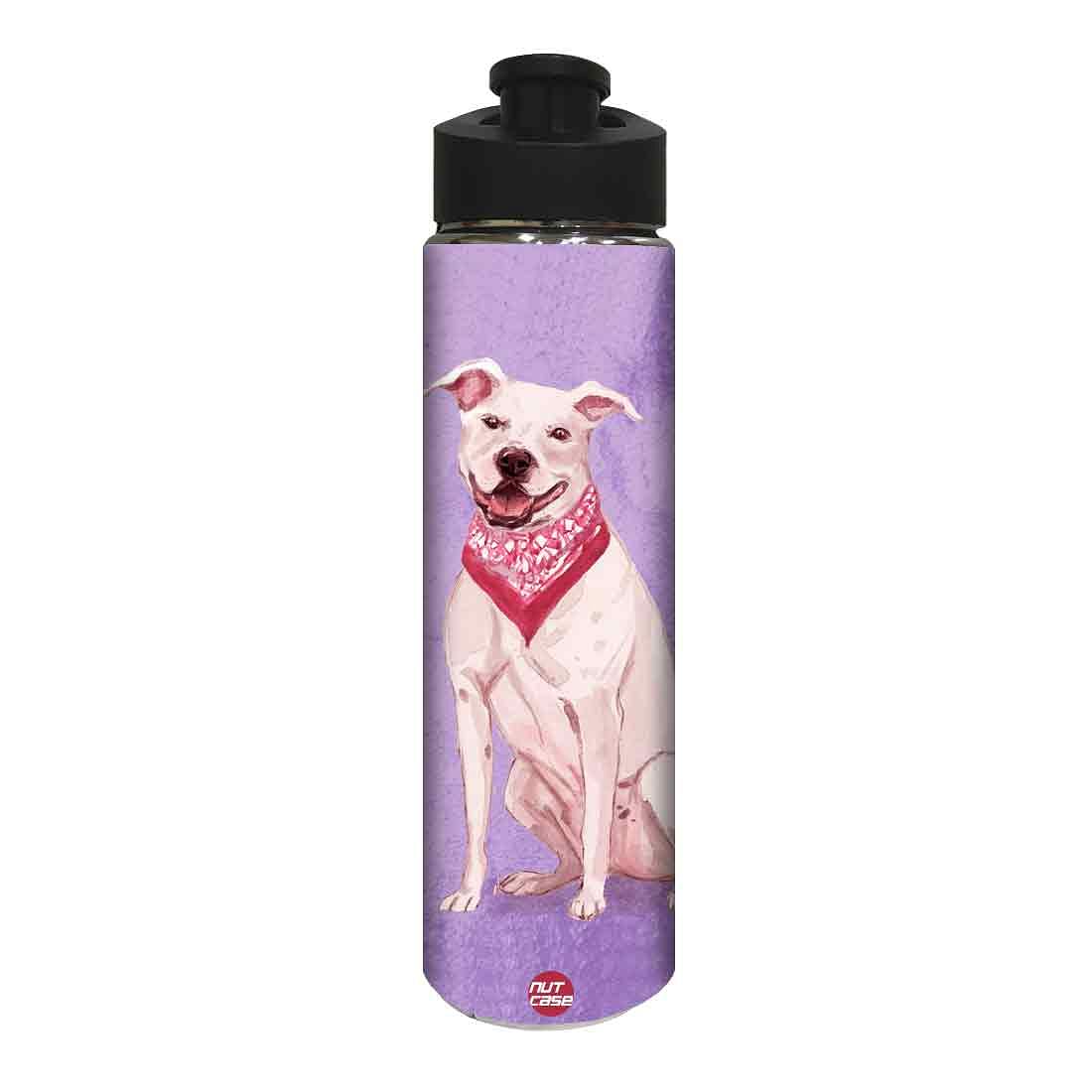 Return Gifts for Birthday Party -  Cute Smart Dog Nutcase