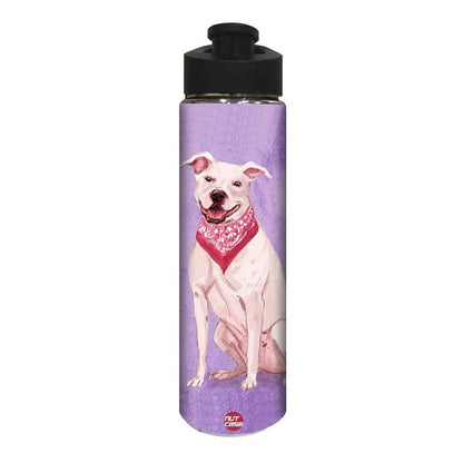 Return Gifts for Birthday Party -  Cute Smart Dog Nutcase