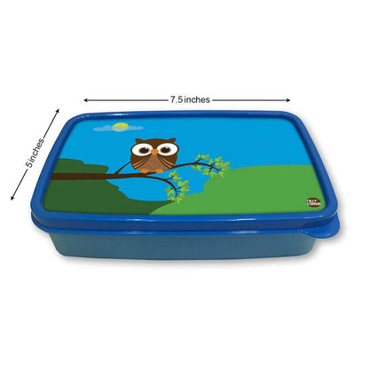 Sandwich Tiffin Box Square for Boys With Small Container - Owl Nutcase