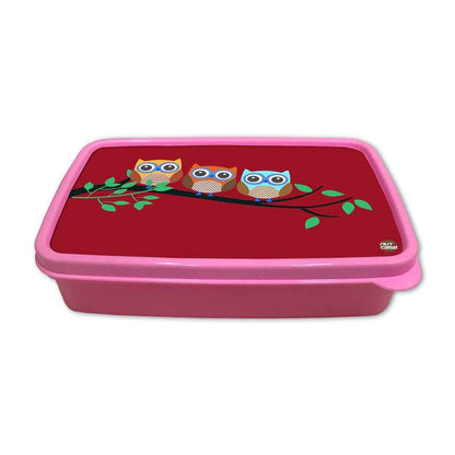 Plastic Lunch Box for School Boy With Small Container - Cute Owls Nutcase