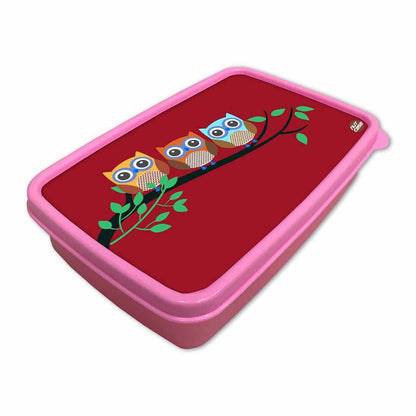 Plastic Lunch Box for School Boy With Small Container - Cute Owls Nutcase