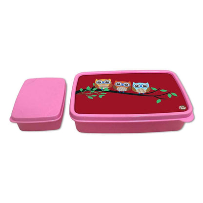 Plastic Lunch Box for School Boy With Small Container - Cute Owls Nutcase