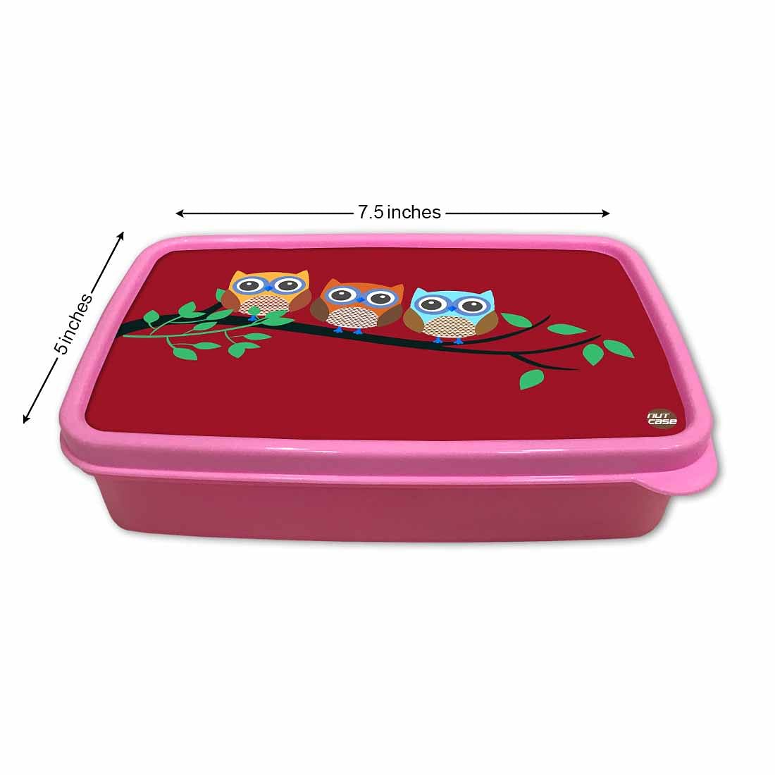 Plastic Lunch Box for School Boy With Small Container - Cute Owls Nutcase