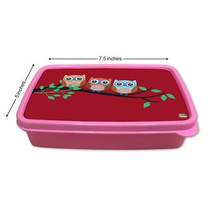 Plastic Lunch Box for School Boy With Small Container - Cute Owls Nutcase