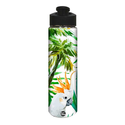 Designer Stainless Steel Sipper Bottle for Kids - Parrot Nutcase