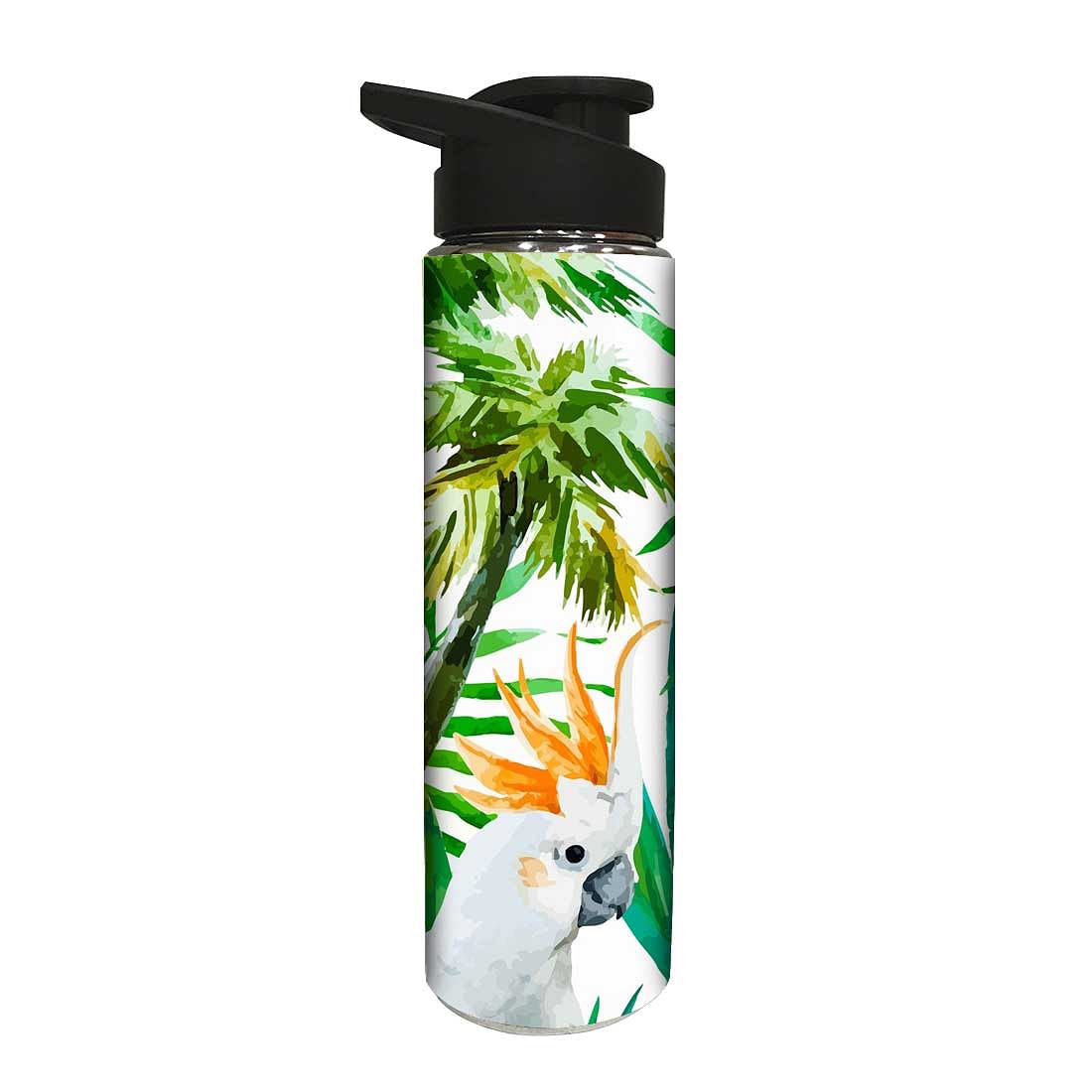 Designer Stainless Steel Sipper Bottle for Kids - Parrot Nutcase