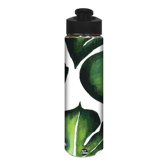 Stainless Steel Sipper Cycling Bottles for Kids -  Monstera Leaves Nutcase