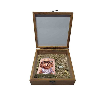 Hip Flask Gift Box -Cutie Paws Nutcase