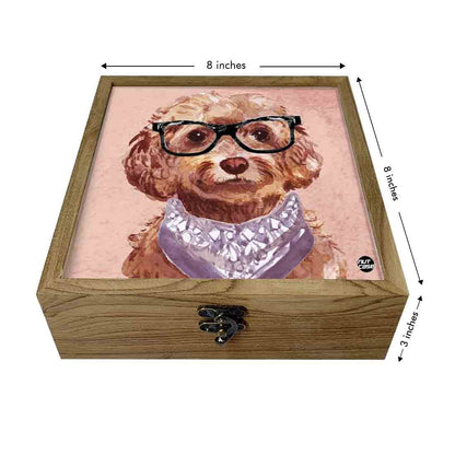 Hip Flask Gift Box -Cutie Paws Nutcase